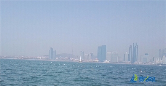 海鸥美景.jpg