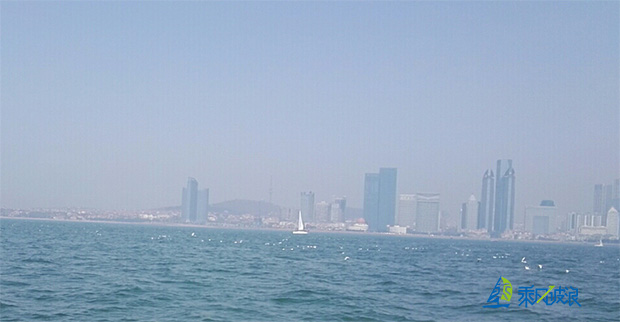 海鸥美景.jpg